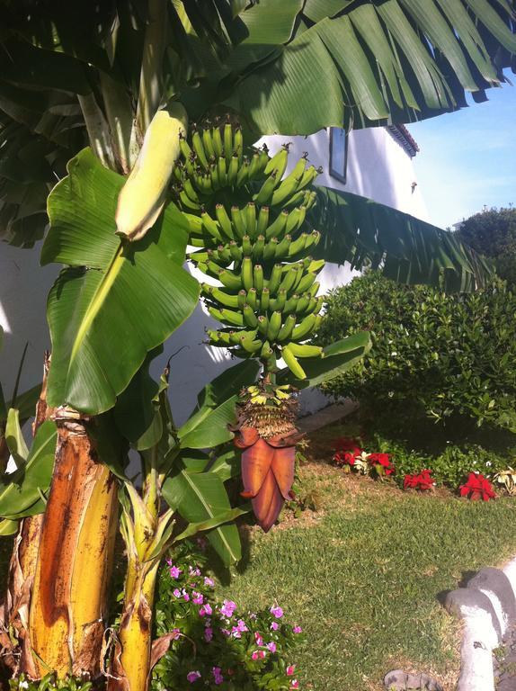 Apartment Eden Island Village أذيخي المظهر الخارجي الصورة